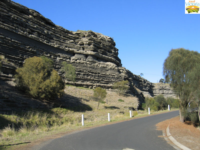 Warrnambool - Tower Hill Reserve