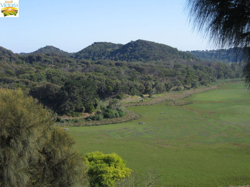 Warrnambool - Tower Hill Reserve