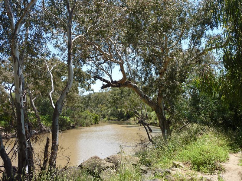 Werribee - Cottrell Street at Werribee River - Westerly view through bushland along northern side of river