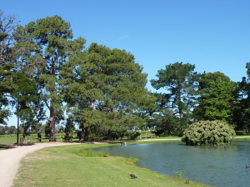 Werribee - Werribee Park and The Mansion, Werribee South - Path along lake near Shadowfax Winery