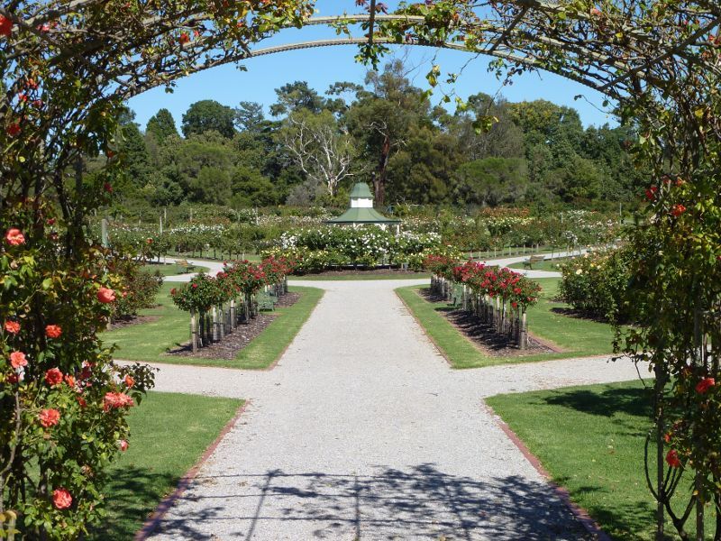 Werribee - Victoria State Rose Garden at Werribee Park, Werribee South - View from archway of roses towards rotunda