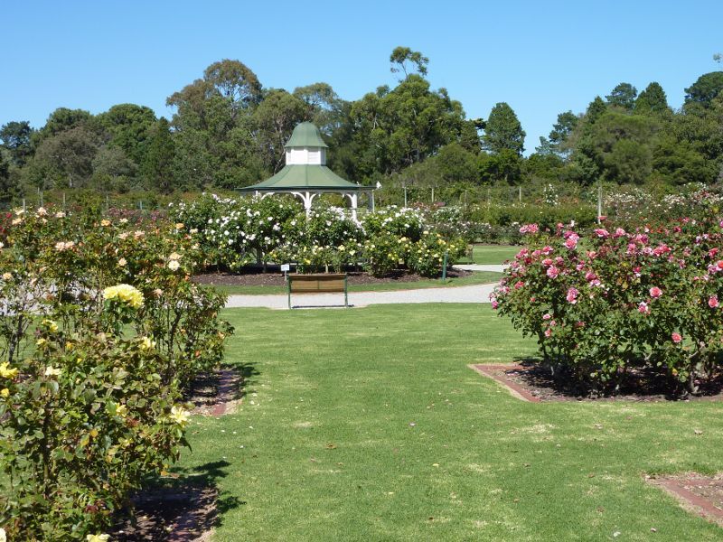 Werribee - Victoria State Rose Garden at Werribee Park, Werribee South - View across lawns to rotunda