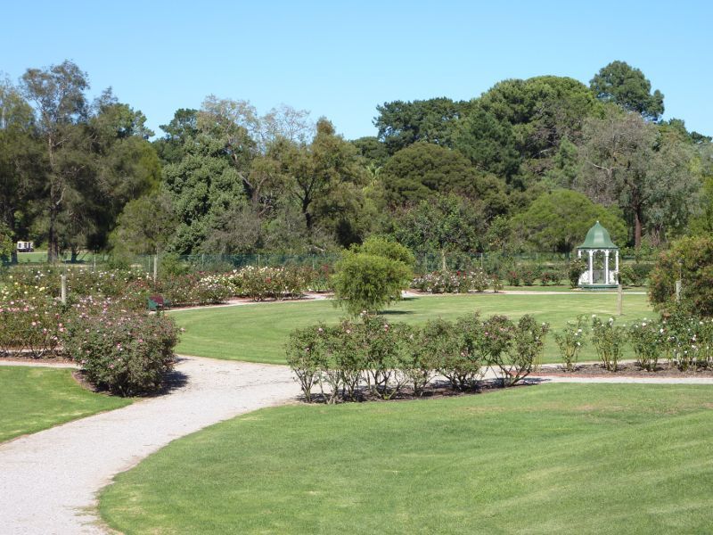 Werribee - Victoria State Rose Garden at Werribee Park, Werribee South - Australian Leaf section