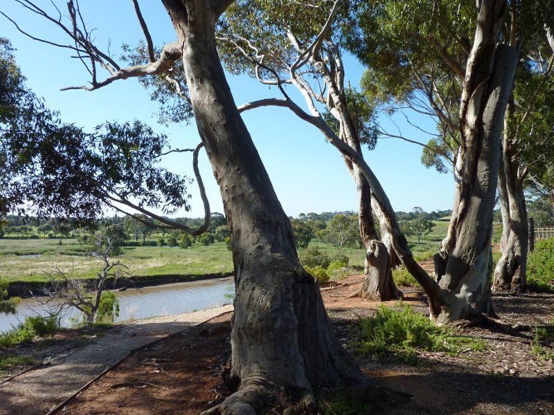 Werribee - Werribee River at south-western end of K Road, Werribee South: View towards Werribee River from path at car park