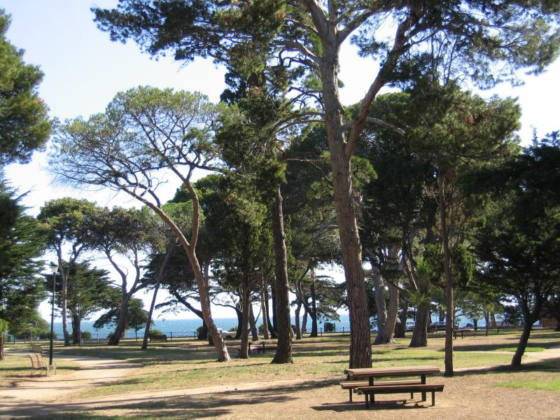 Williamstown - Fearon Reserve and Williamstown Botanic Gardens, Giffard Street: View through Fearon Reserve towards coast