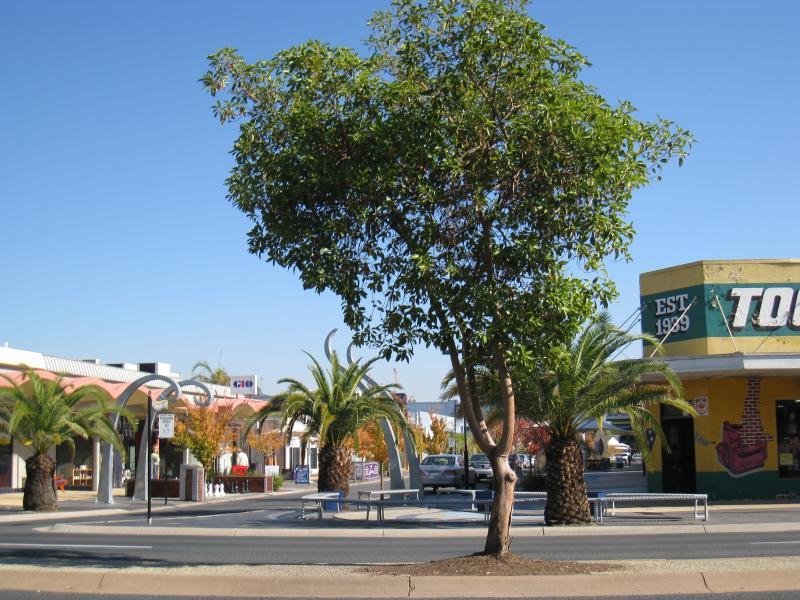 Wodonga - Shops along High Street south of railway line, Stanley Street and Woodland Grove: View west across High St towards Stanley St