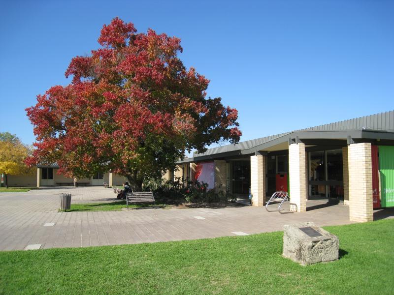 Wodonga - Cultural precinct, Hovell Street between Lawrence St and Elgin Boulevard - Library entrance