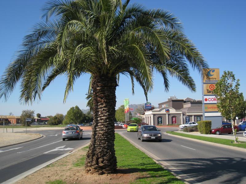 Wodonga - Elgin Boulevard: View east along Elgin Bvd towards Smythe St