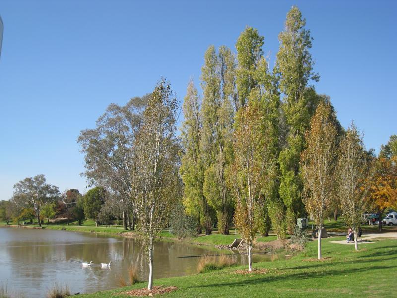 Wodonga - Sumsion Gardens: View north-east along lake from near car park at western end of Huon St