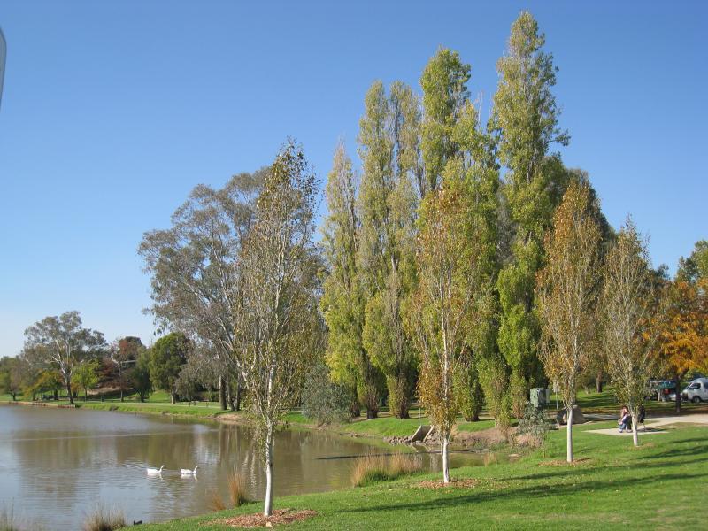 Wodonga - Sumsion Gardens - View north-east along lake from near car park at western end of Huon St