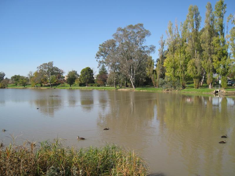 Wodonga - Sumsion Gardens - View east across lake from island in lake