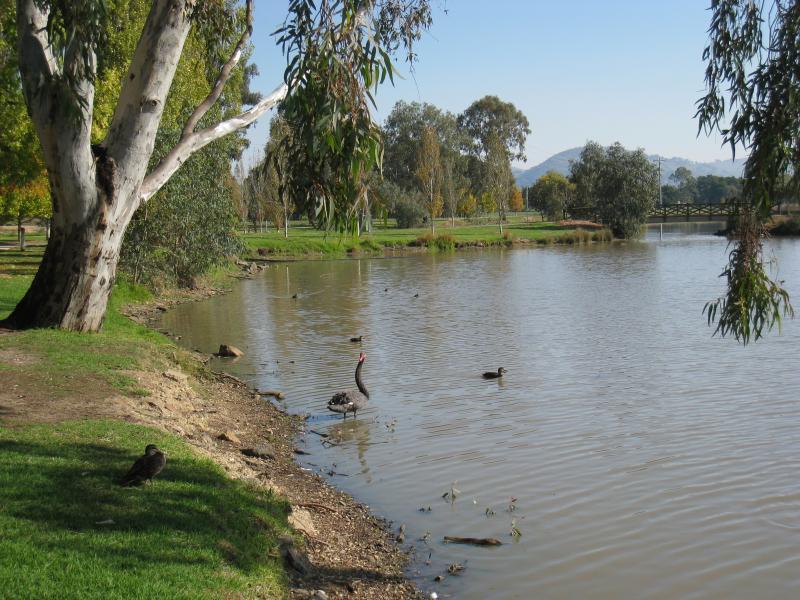 Wodonga - Sumsion Gardens - View south-west along eastern side of lake