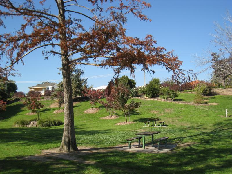 Wodonga - Sumsion Gardens: Grassy slopes between lake and Church St