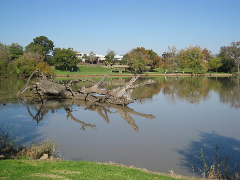 Wodonga - Sumsion Gardens: View south-east across lake from its northern side