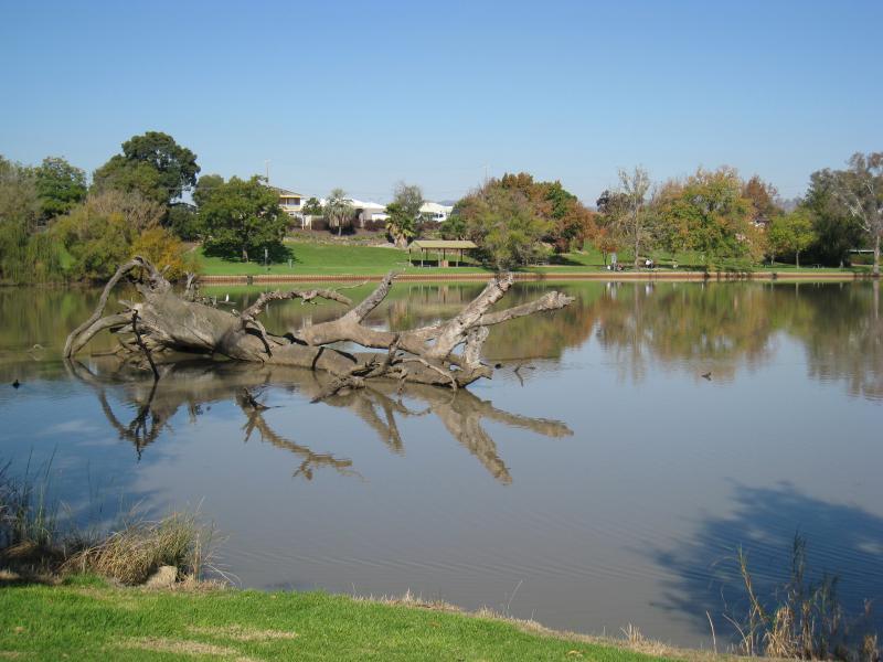 Wodonga - Sumsion Gardens - View south-east across lake from its northern side