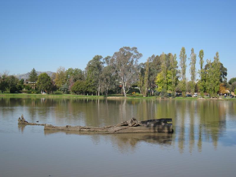 Wodonga - Sumsion Gardens: View east across lake from its north-western side