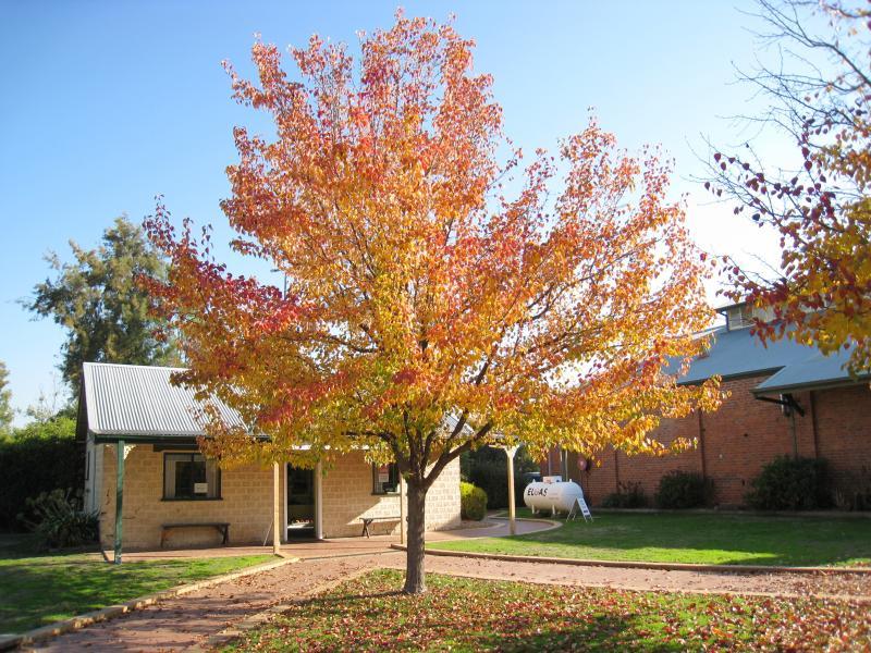 Wodonga - Gateway Village, Gateway Island: Gardens behind HotHouse Theatre