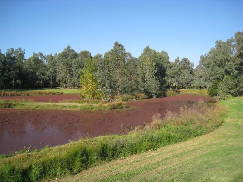 Wodonga - Gateway Village, Gateway Island: Byrne Lagoon