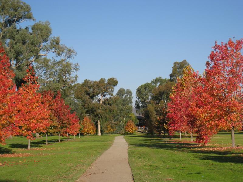 Wodonga - Les Stone Park, corner Lawrence Street and Parkland Drive: Pathway through park