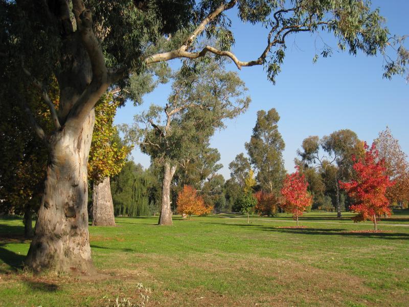 Wodonga - Les Stone Park, corner Lawrence Street and Parkland Drive: Lawns