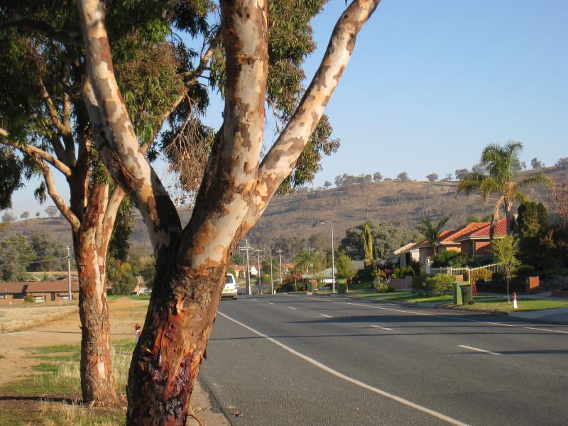 Wodonga - Biralee Park, corner Marshall Street and Emerald Avenue: View south along Marshall Street