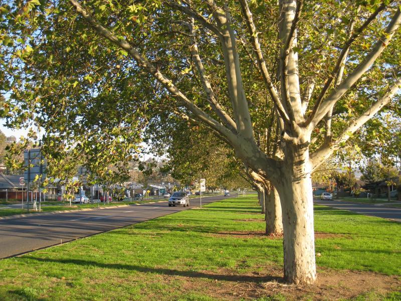 Wodonga - Beechworth Road: View south along Beechworth Rd, south of Pearce St
