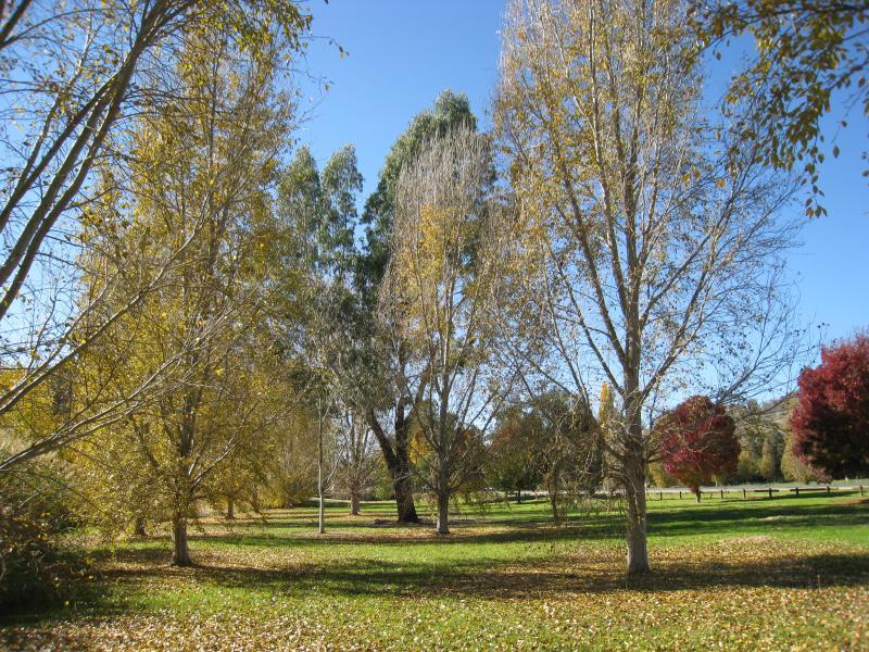 Wodonga - Park beside Huon Creek Road at House Creek and Huon Creek: View north-east through park beside creek