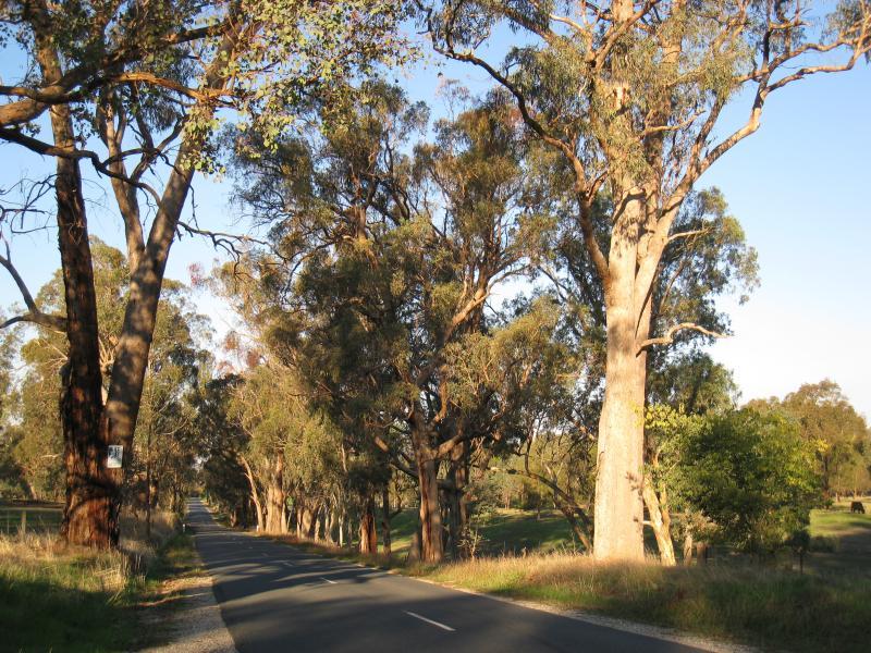 Wodonga - Huon Creek Road: View east along Huon Creek Rd, east of Spring Gully Rd