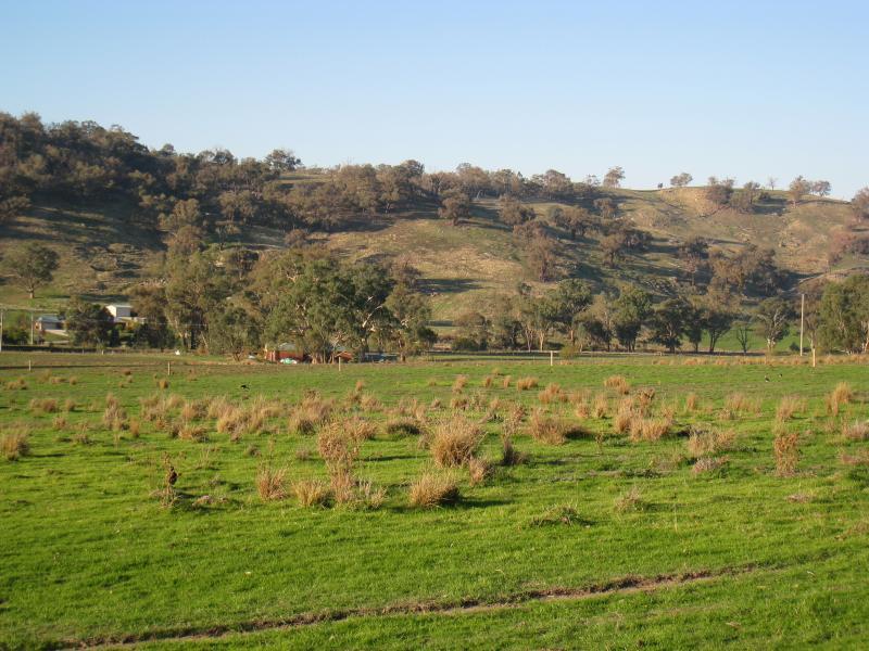 Wodonga - Huon Creek Road: Northerly view from Huon Creek Rd at Spring Gully Rd