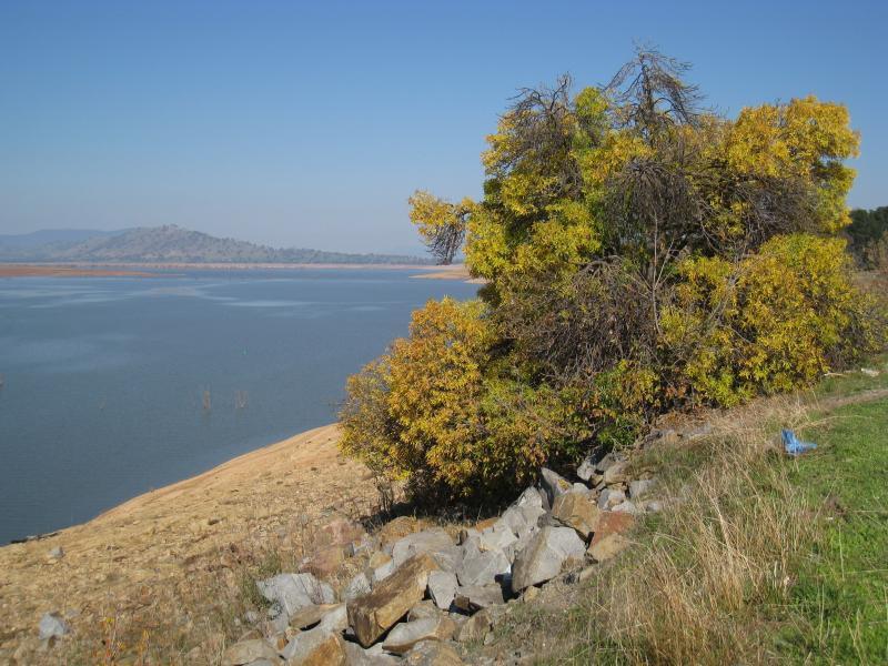 Wodonga - Lake Hume at Bethanga Bridge: View south-west along Lake Hume, N.S.W. side of bridge