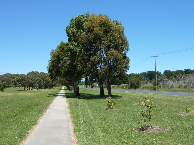 Wonthaggi - Wonthaggi Wetlands Conservation Park, South Dudley Road: View south along South Dudley Rd near Station St