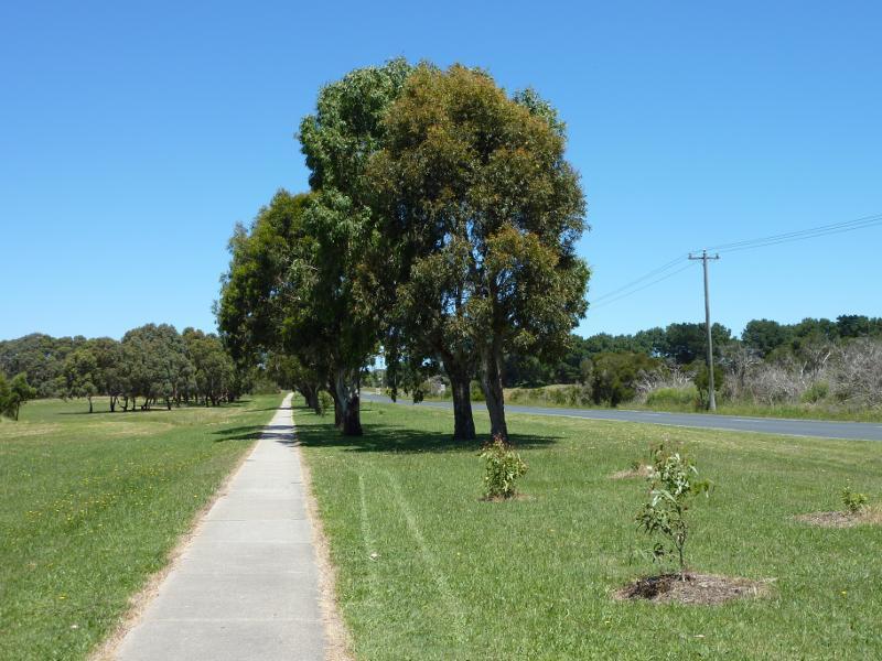 Wonthaggi - Wonthaggi Wetlands Conservation Park, South Dudley Road - View south along South Dudley Rd near Station St
