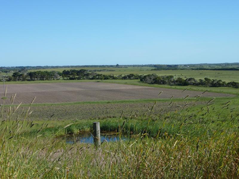 Wonthaggi - Bass Highway north-west of Wonthaggi near Powlett River: South-easterly view across fields