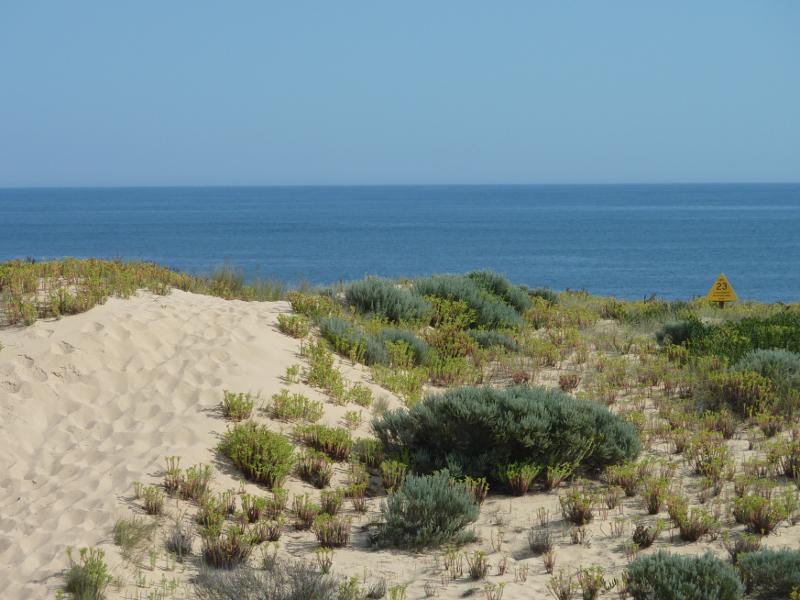 Wonthaggi - Wreck Beach, off southern end of Berrys Road: View to ocean from top of coastal sand dunes