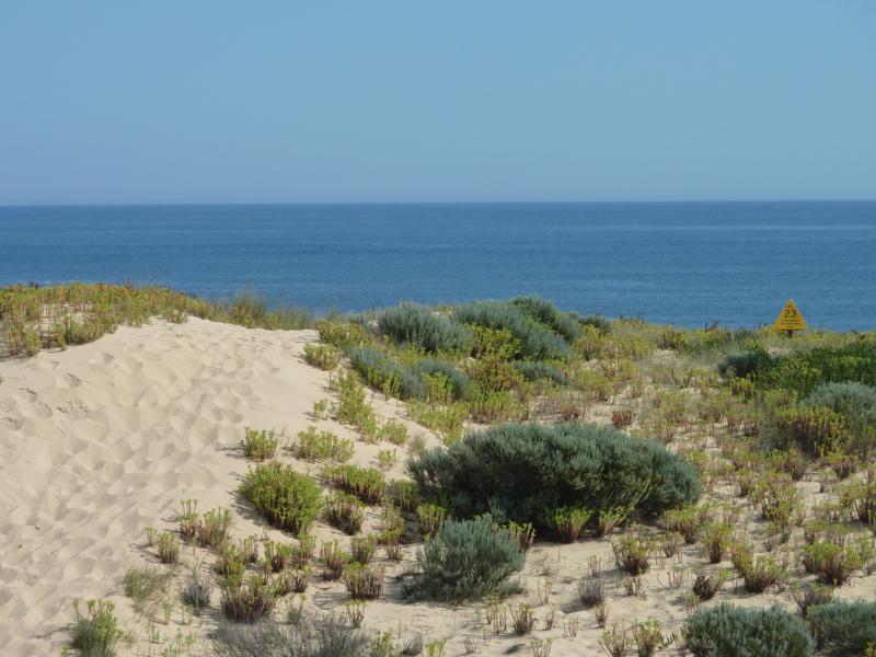 Wonthaggi - Wreck Beach, off southern end of Berrys Road - View to ocean from top of coastal sand dunes