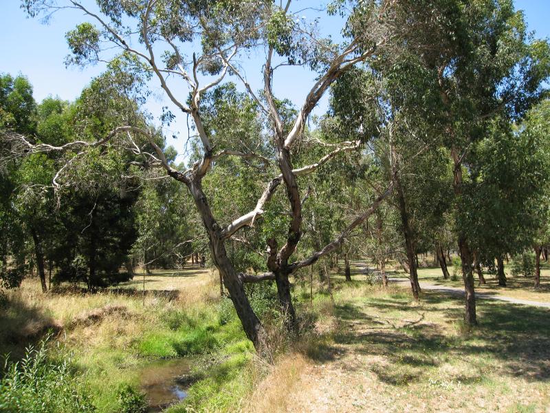 Woodend - Five Mile Creek: View east along Five Mile Creek at northern end of Jeffreys St