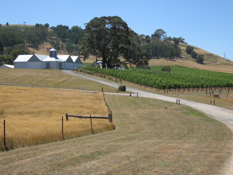 Woodend - Hanging Rock Winery, Jims Road, Newham: View along winery driveway