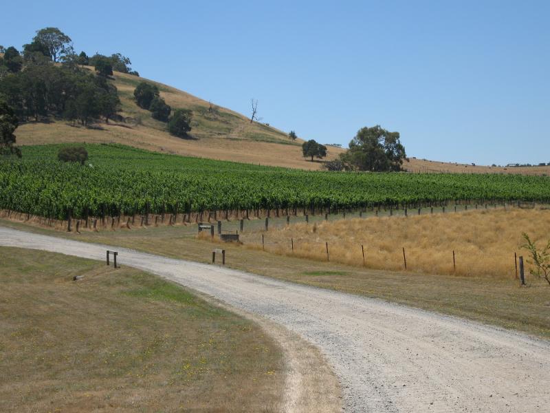 Woodend - Hanging Rock Winery, Jims Road, Newham: View of vineyard from driveway