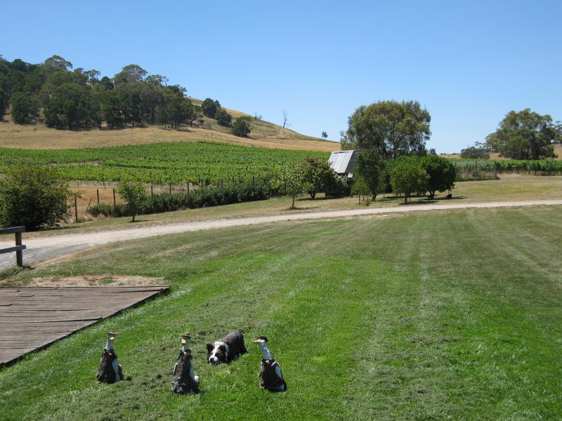 Woodend - Hanging Rock Winery, Jims Road, Newham: View from gardens at cellar door towards vineyards