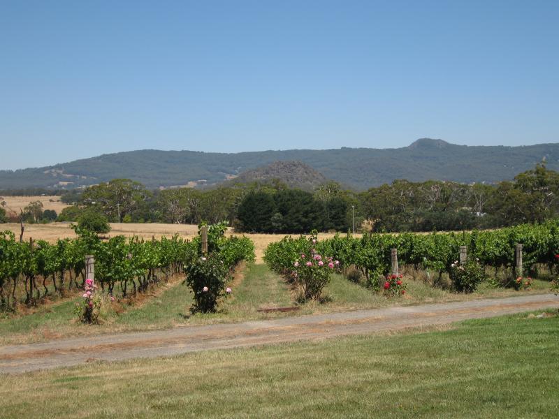 Woodend - Hanging Rock Winery, Jims Road, Newham: View south-east across vineyards towards Hanging Rock