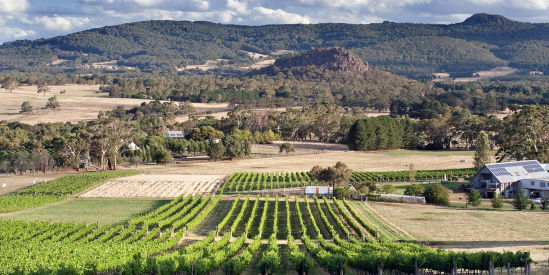 Hanging Rock Winery, Newham