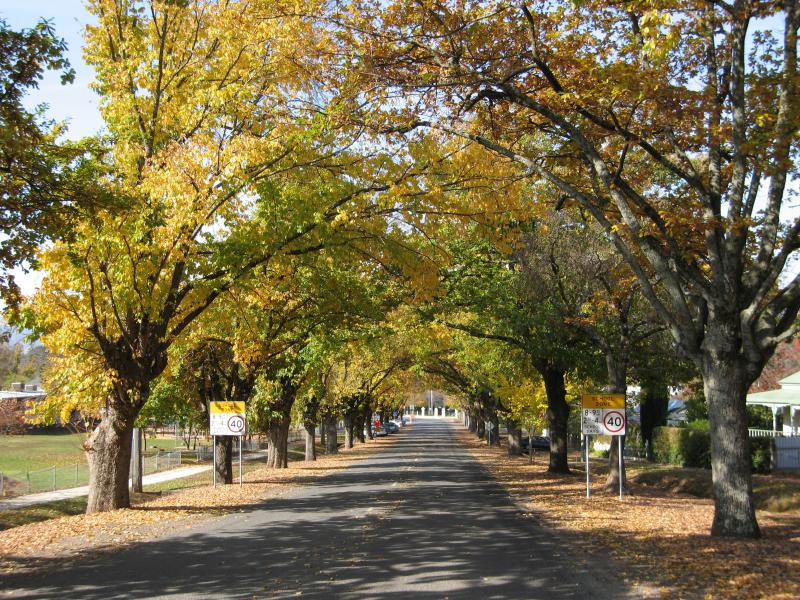 Yackandandah - High Street between Bells Flat Road and Wellsford Street: View south-east along High St