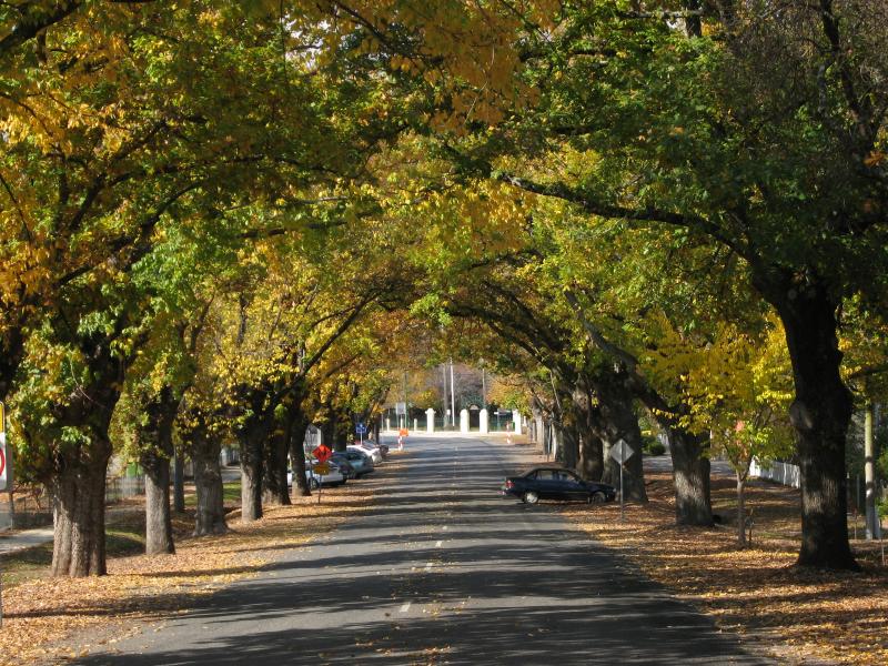 Yackandandah - High Street between Bells Flat Road and Wellsford Street: View south-east along High St towards Wellsford St