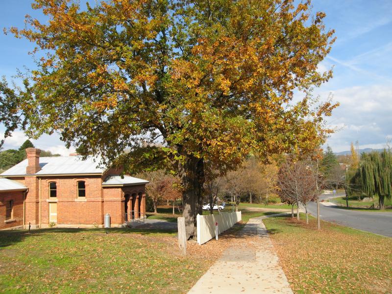 Yackandandah - Williams Street and Railway Avenue: View south along Williams St towards court house