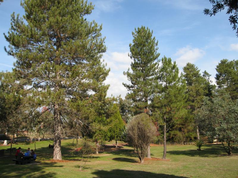 Yackandandah - Sir Isaac Isaacs Park, corner Isaacs Avenue and Railway Avenue: View through park