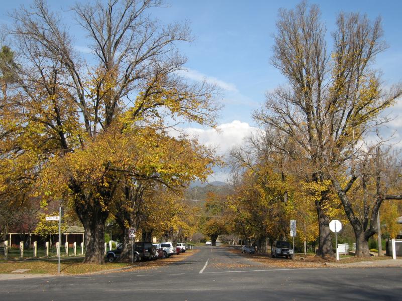 Yackandandah - Around Yackandandah: View south along Wellsford St at High St