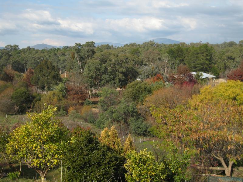 Yackandandah - Around Yackandandah: Easterly view, Windham St east of Bells Flat Rd