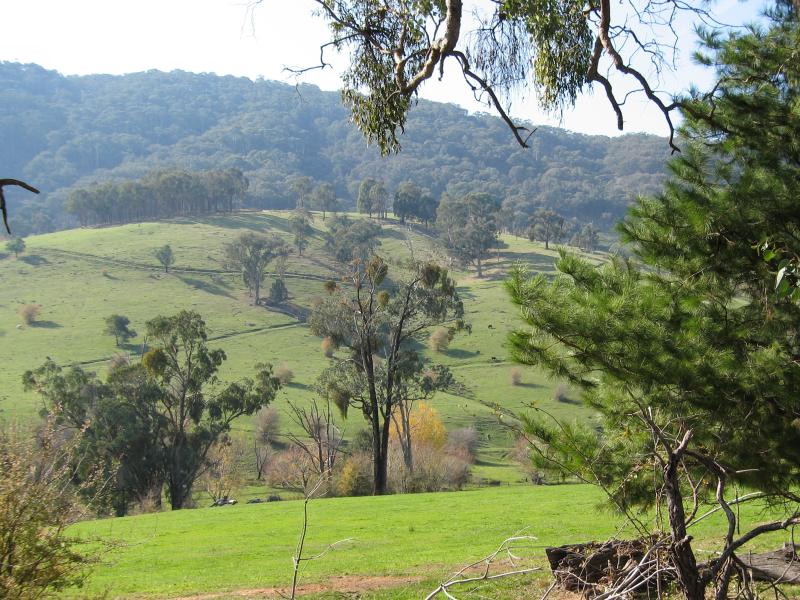 Yackandandah - Beechworth Road, north-west of Yackandandah: View north-east, 3 kilometres from Yackandandah