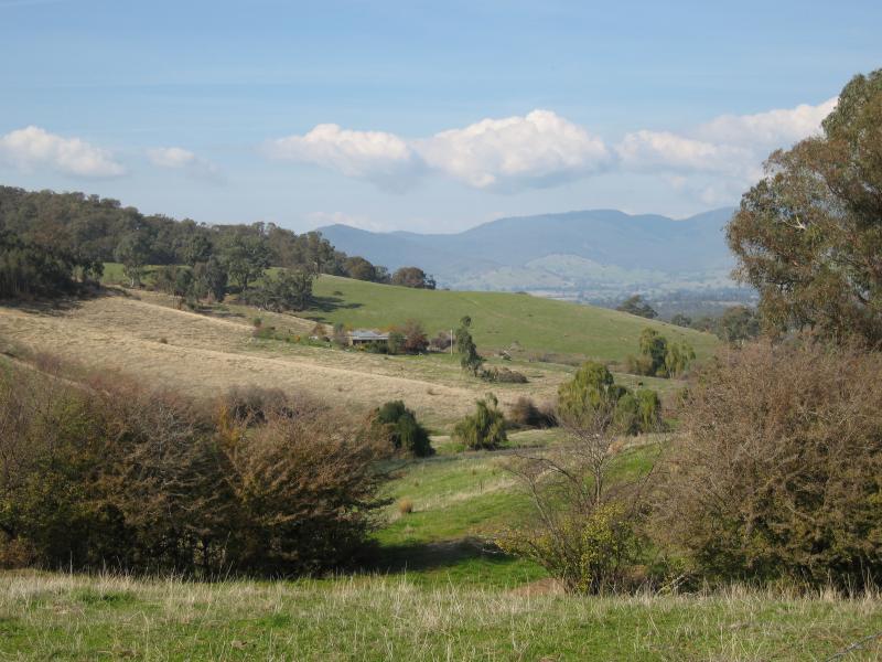 Yackandandah - Beechworth Road, north-west of Yackandandah: Easterly view, 1.5 kilometres from Yackandandah