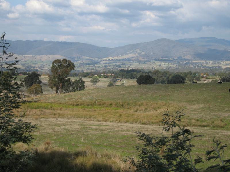 Yackandandah - Wodonga Road, north-east of Yackandandah: Easterly view near Basin Creek Rd